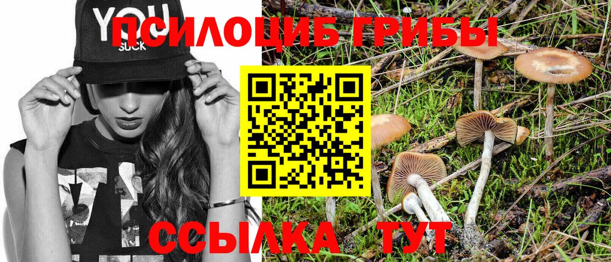 Псилоцибиновые грибы Magic Shrooms Сосновый Бор