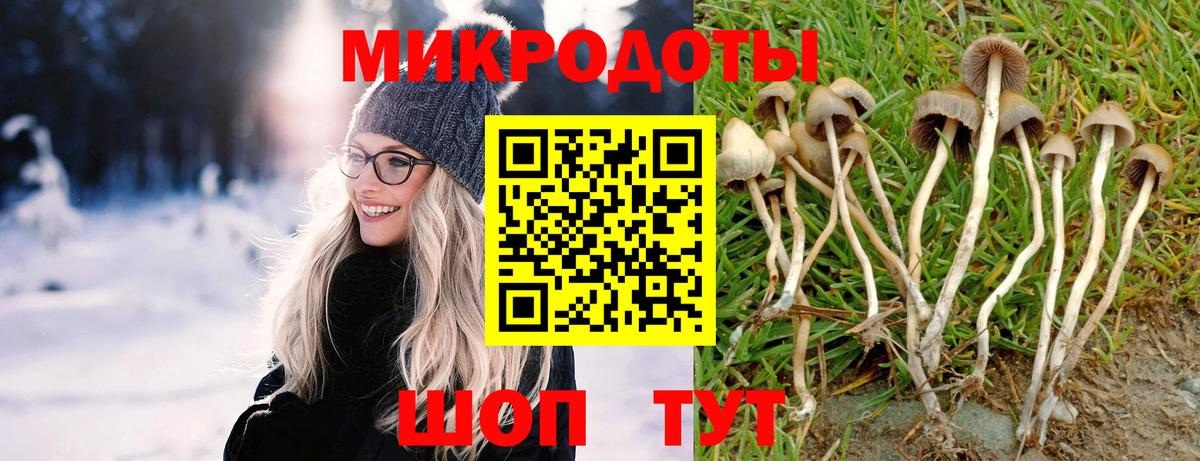 Псилоцибиновые грибы Psilocybe  Вход с VPN  Сосновый Бор 